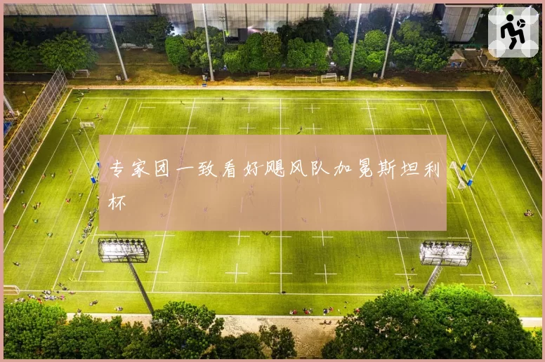 专家团一致看好飓风队加冕斯坦利杯