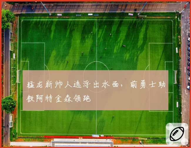 猛龙新帅人选浮出水面，前勇士助教阿特金森领跑