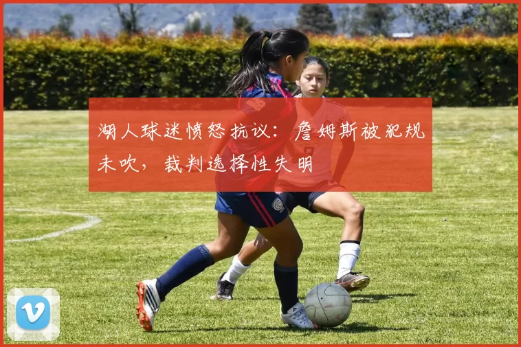 湖人球迷愤怒抗议：詹姆斯被犯规未吹，裁判选择性失明