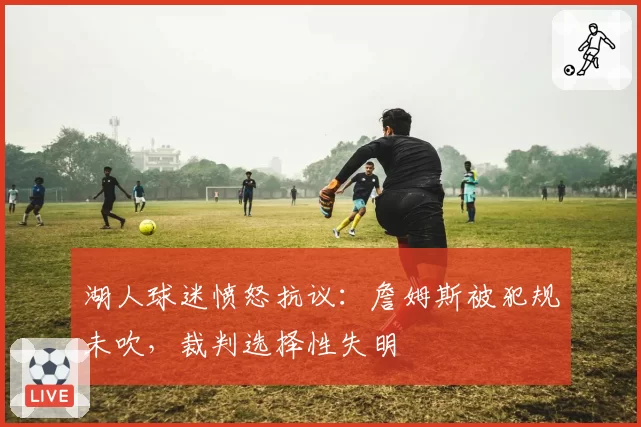 湖人球迷愤怒抗议：詹姆斯被犯规未吹，裁判选择性失明