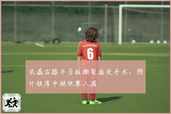 武磊右膝半月板撕裂接受手术，预计缺席中超联赛八周