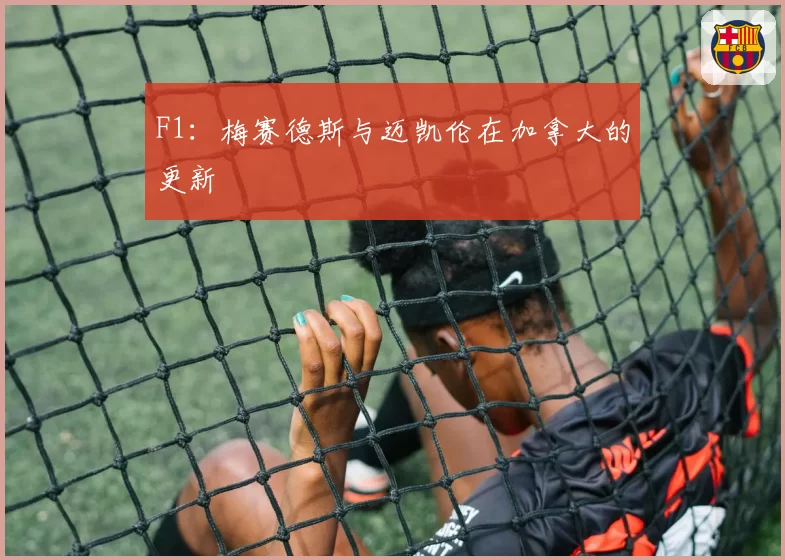 F1：梅赛德斯与迈凯伦在加拿大的更新
